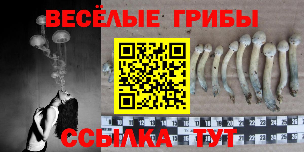 Углич  сколько стоит  Вход с VPN  Галлюциногенные грибы MAGIC MUSHROOMS 